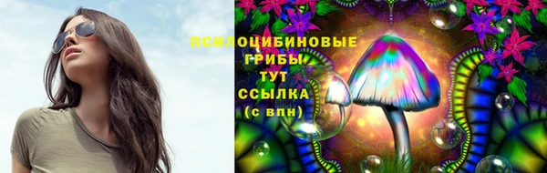 эйфоретик Инта