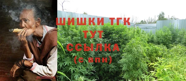 эйфоретик Инта