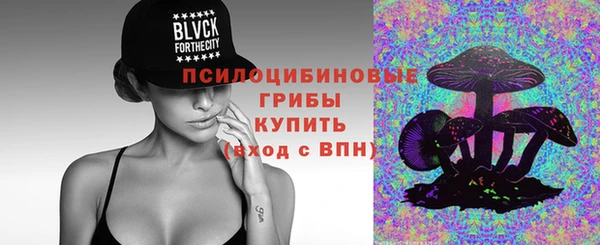 эйфоретик Инта